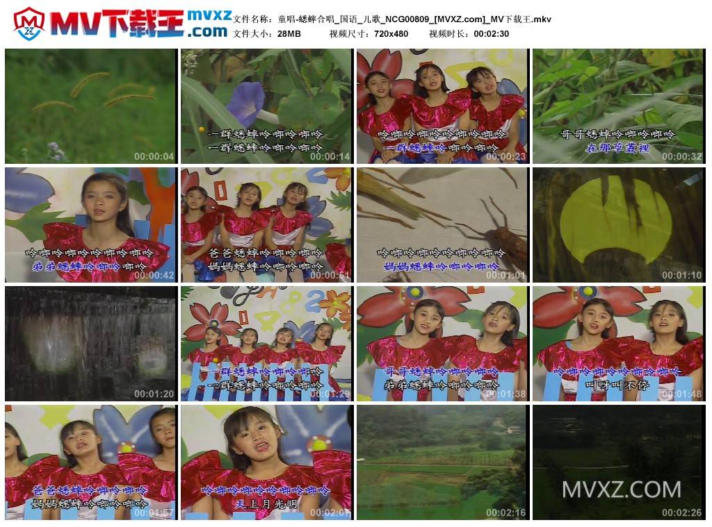 童唱-蟋蟀合唱_国语_儿歌_NCG00809